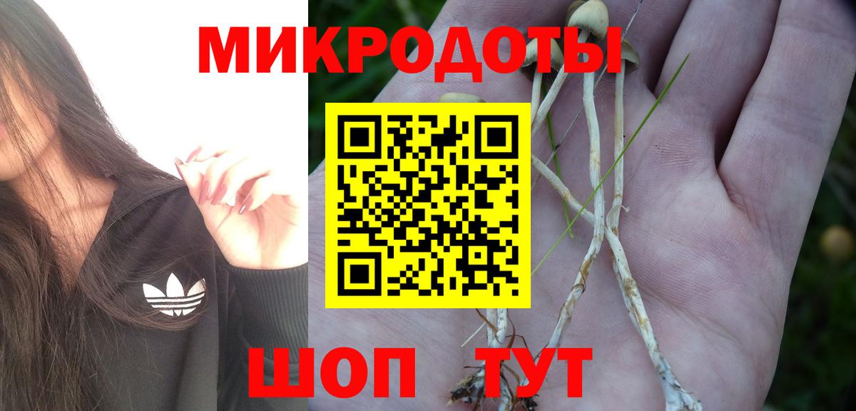 Псилоцибиновые грибы прущие грибы  Вход с VPN  Заводоуковск 