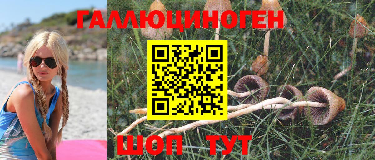 Псилоцибиновые грибы MAGIC MUSHROOMS Заводоуковск